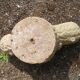 Tree trunk planter in concrete
