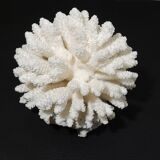 Sea coral cluster white/vintage