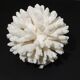 Sea coral cluster white/vintage