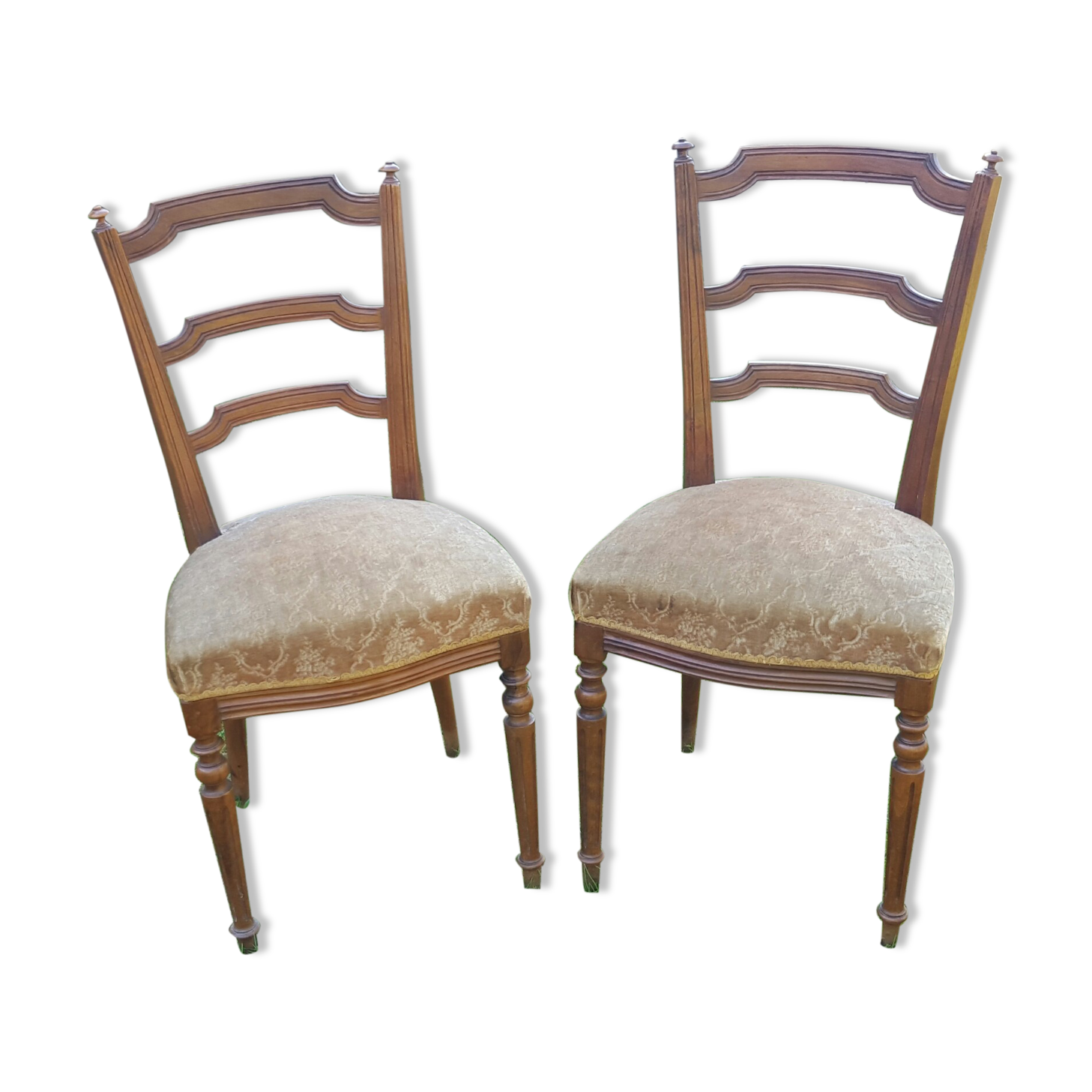 Pair of Napoleon III style chairs