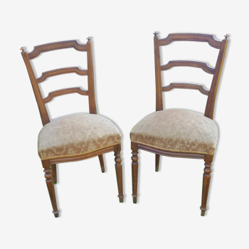 Pair of Napoleon III style chairs