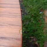 Extendable Scandinavian table