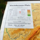 Map of the district of Rhenish Hesse and Palatinate 215 cm