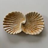 Ceramic shell-shaped trinket tray