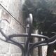 Parrot coat rack