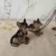 Figurine chien berger et ses 2 petits en céramique vintage
