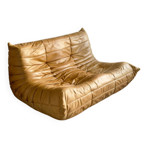 Canapé Togo 2 places Ligne Roset — Beyit