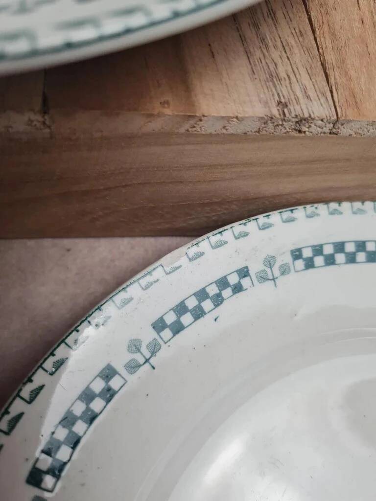 Set of 5 ironstone plates Gien model Sophia 💚