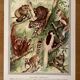 Illustrated plate on arboreal mammals (cats, monkeys, lemurs) – 1950