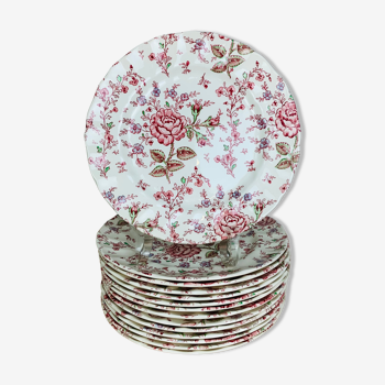 14 assiettes rose chintz johnson brothers faïence anglaise