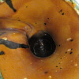 Sars pottery vase