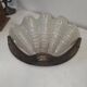 Pair of shell wall lights Art Deco 1930