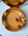 Set of 6 plates in slurry model fish 60s