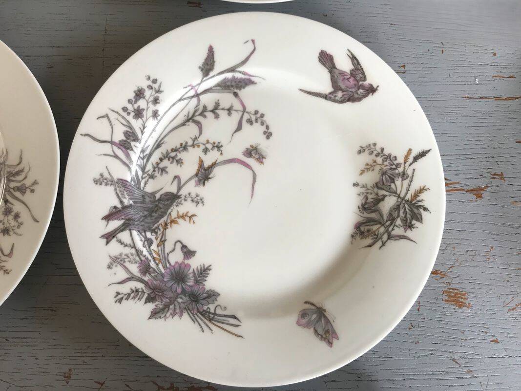 6 porcelain dessert plates with gold medals, exp 1867 1978, birds