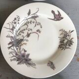 6 porcelain dessert plates with gold medals, exp 1867 1978, birds