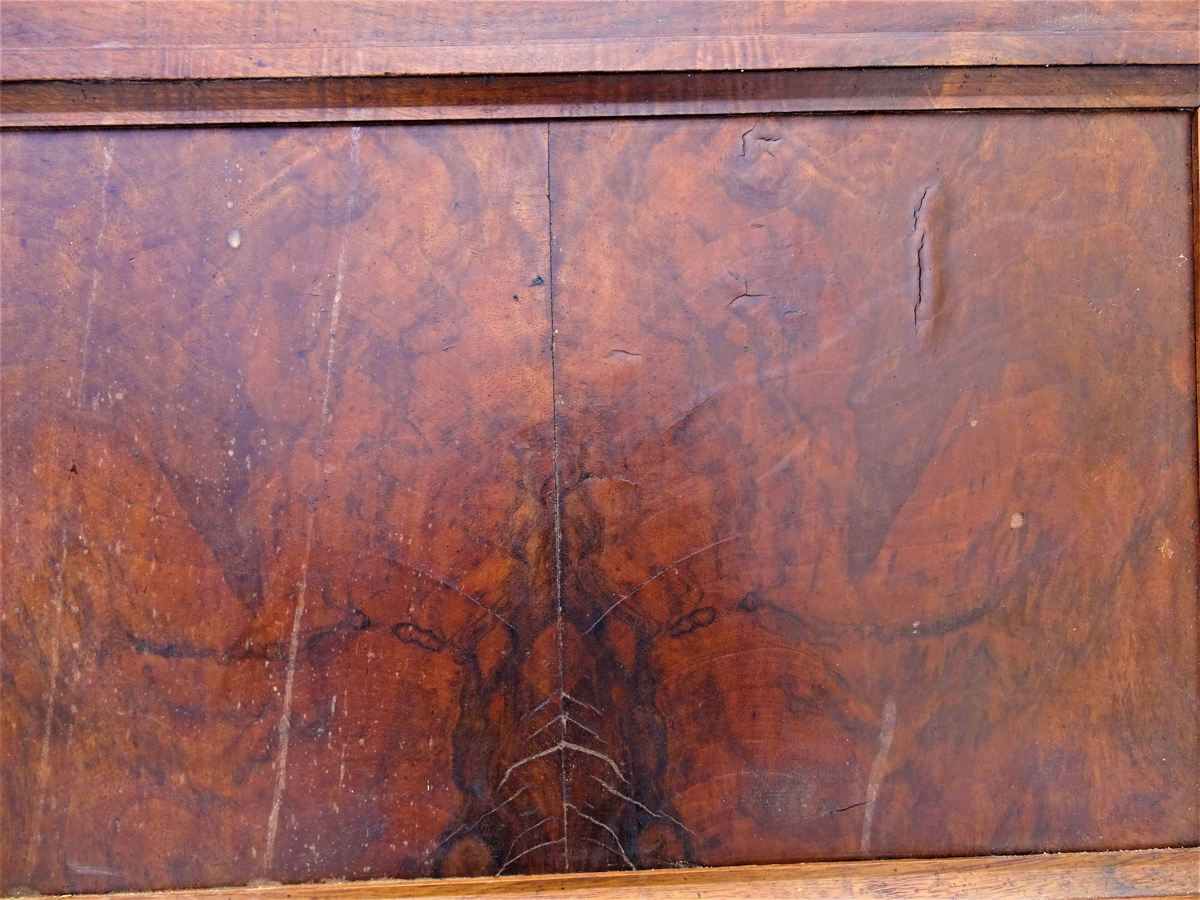 Pair of antique cabinet doors