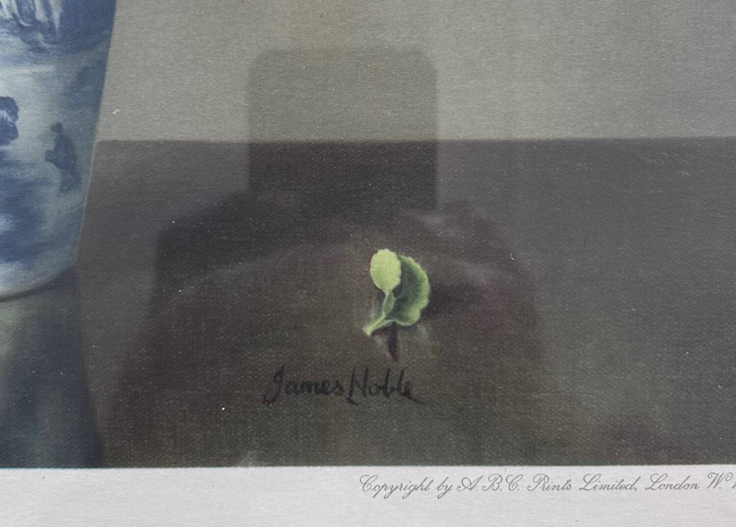 Reproductions florales de James Noble