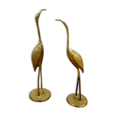 Pair of herons