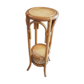 Plant holder / rattan harness