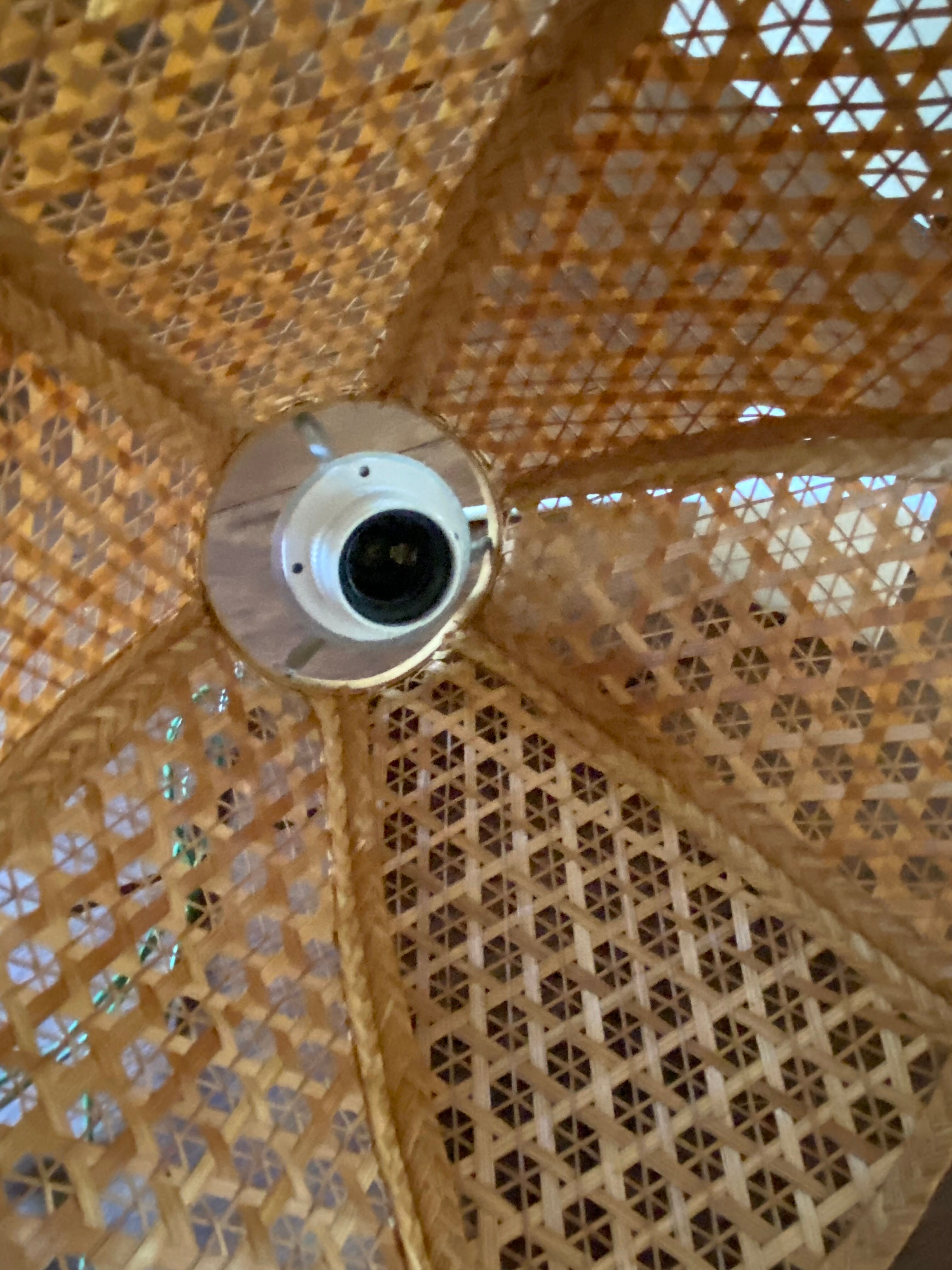 Flower hanging lamp in canning