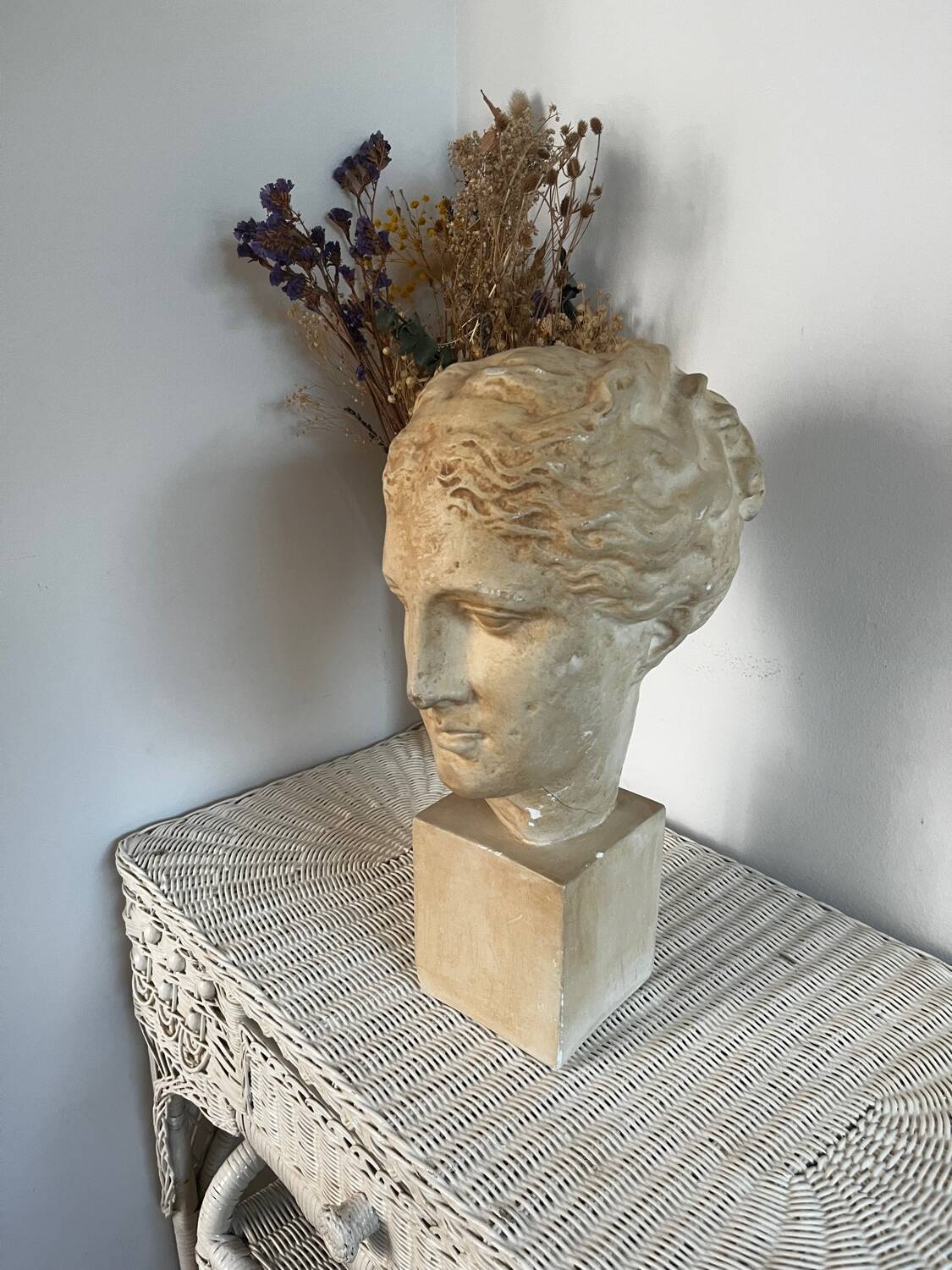 Plaster bust