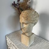 Plaster bust