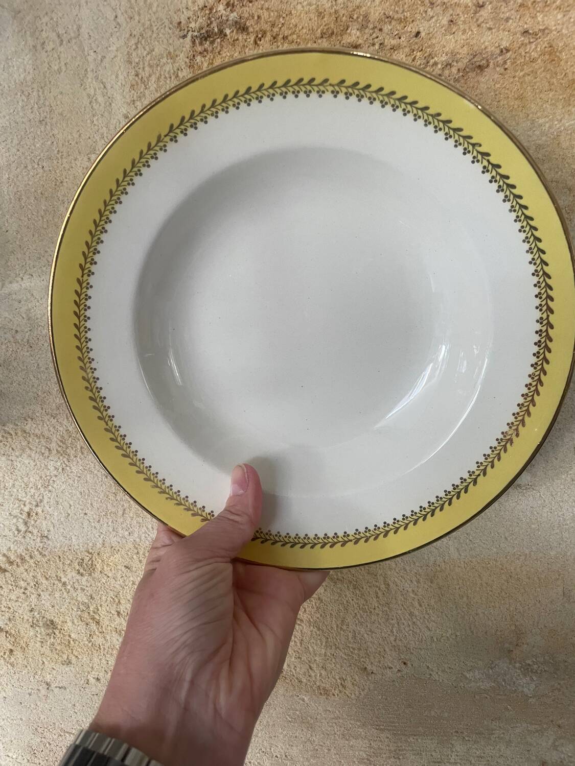 6 Biarritz earthenware soup plates