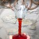 Ancien et rare ! Vendu en lot de 12 Verres à pieds torsadés colorés et gravés de fleurs et feuilles