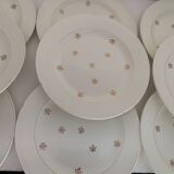 12 old Salins flat plates