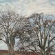 The path under the winter trees signed Maurice Bouillot 1946