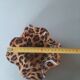 Wavy leopard resin plastic tray