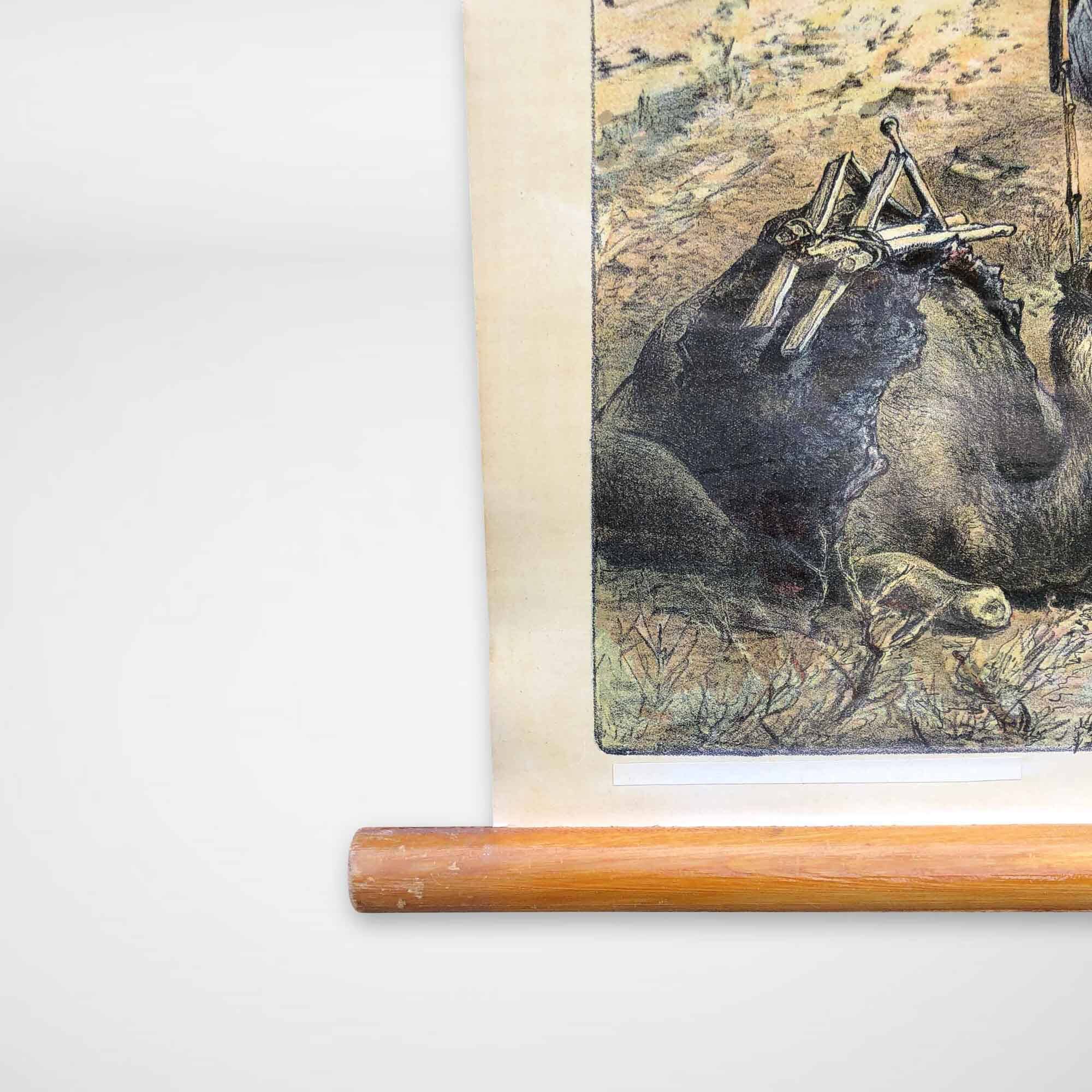 Vintage Poster of Date Palms, Tropics, 1950s