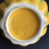 Pitcher melon - Longchamp - France