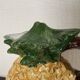 Pineapple slush pitcher h26