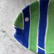 Striped flatfish