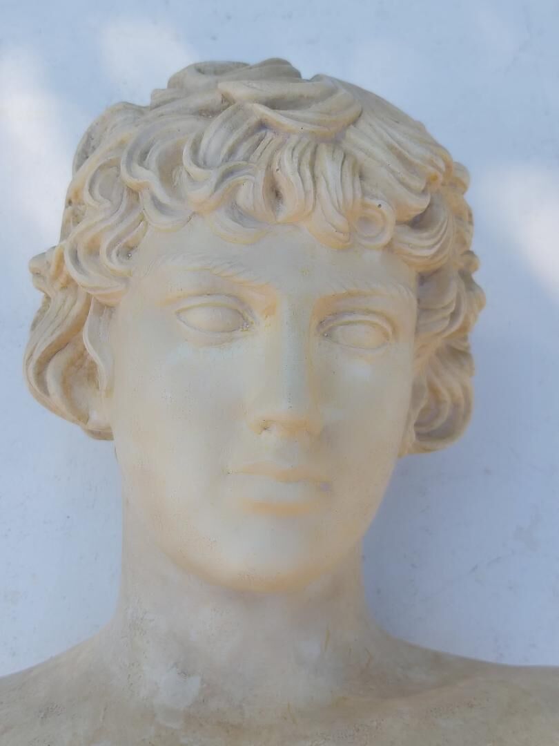 Plaster and marble bust