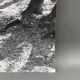 Silver gelatin photograph by Bernard Darot, Light in the Undergrowth, 20th century
