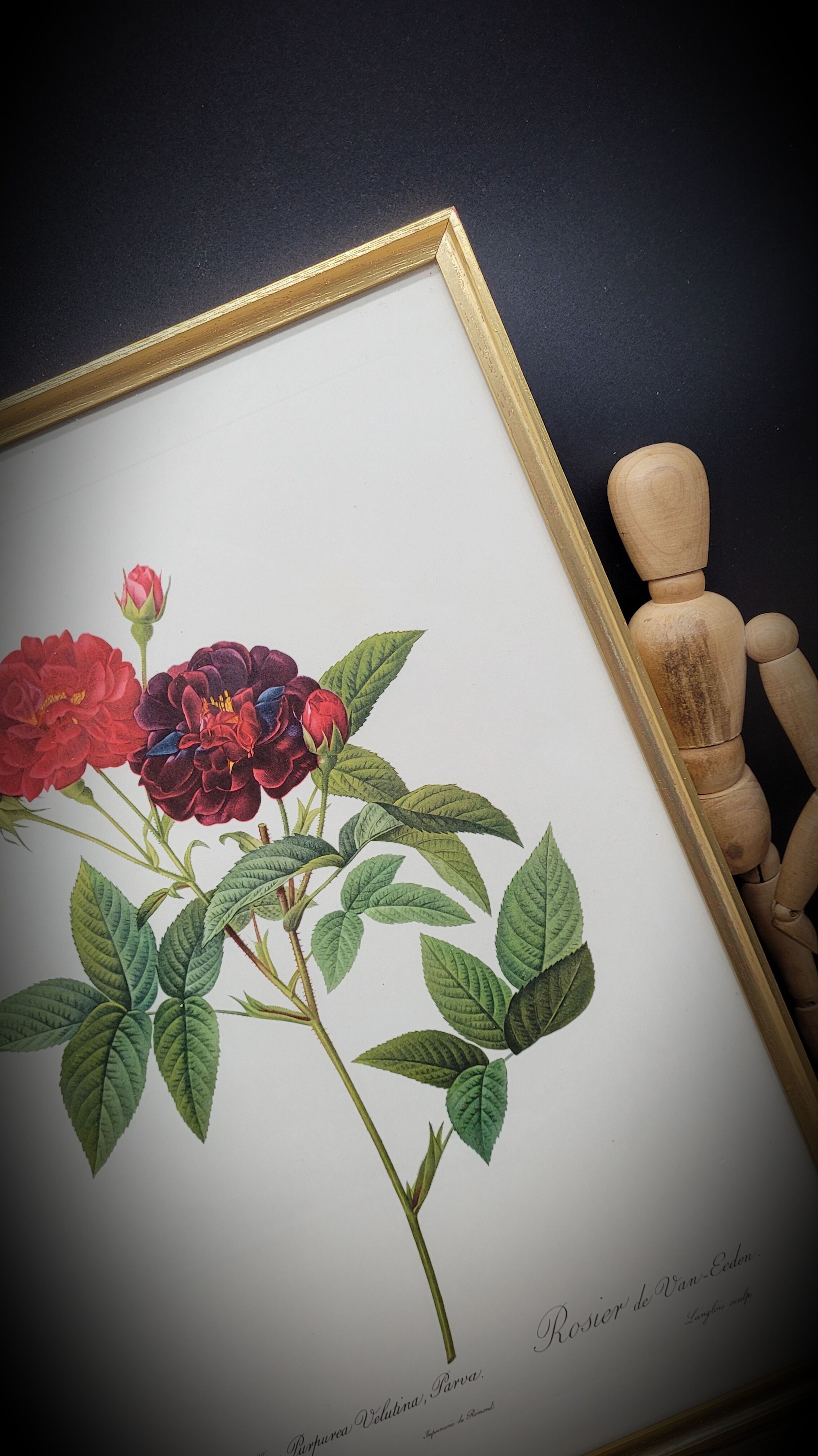 Lithograph under frame Rosier Van Eeden