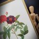 Lithograph under frame Rosier Van Eeden