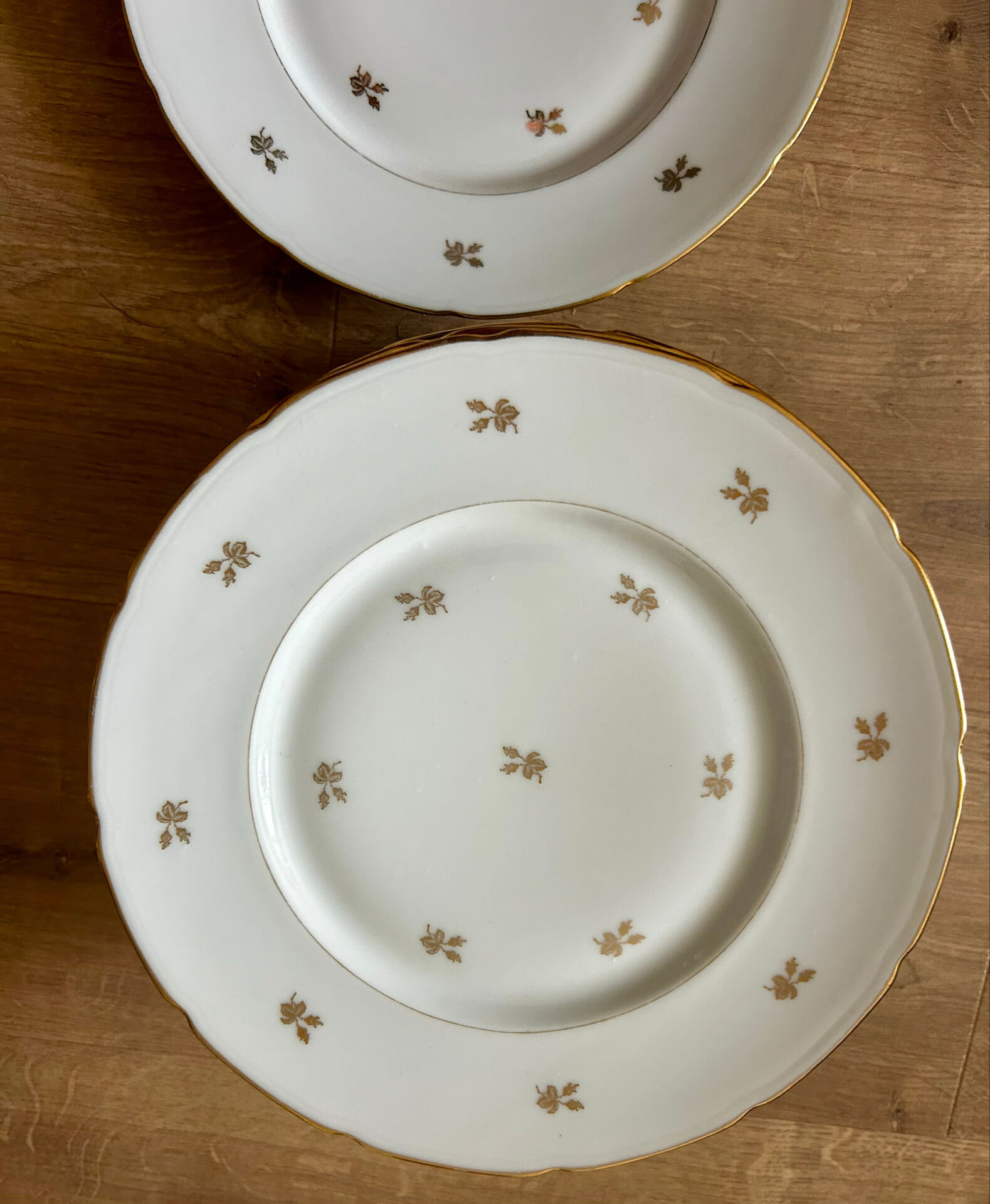 PN Lamotte porcelain plates