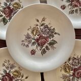 Assiettes anciennes Villeroy & Boch