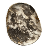 Very large empty pocket or dish in medium light petrified wood 1143