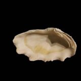 Napoleon III shell stoup in bronze and onyx