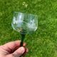 Antique engraved glasses from Alsace