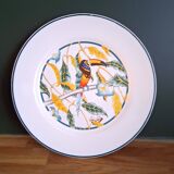 6 assiettes à dessert anciennes décor Toucan