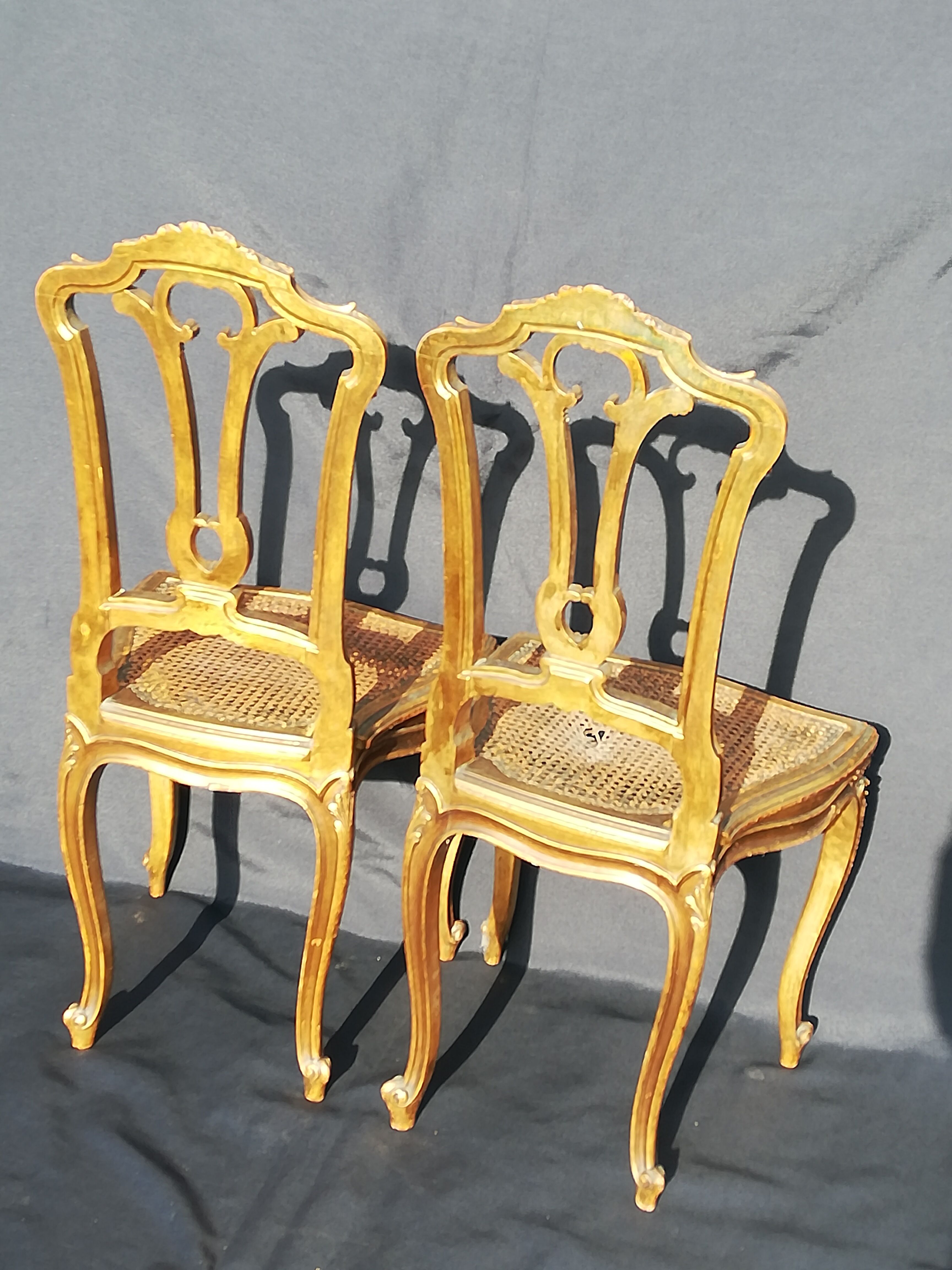 Pair of old canne chairs in gilded wood