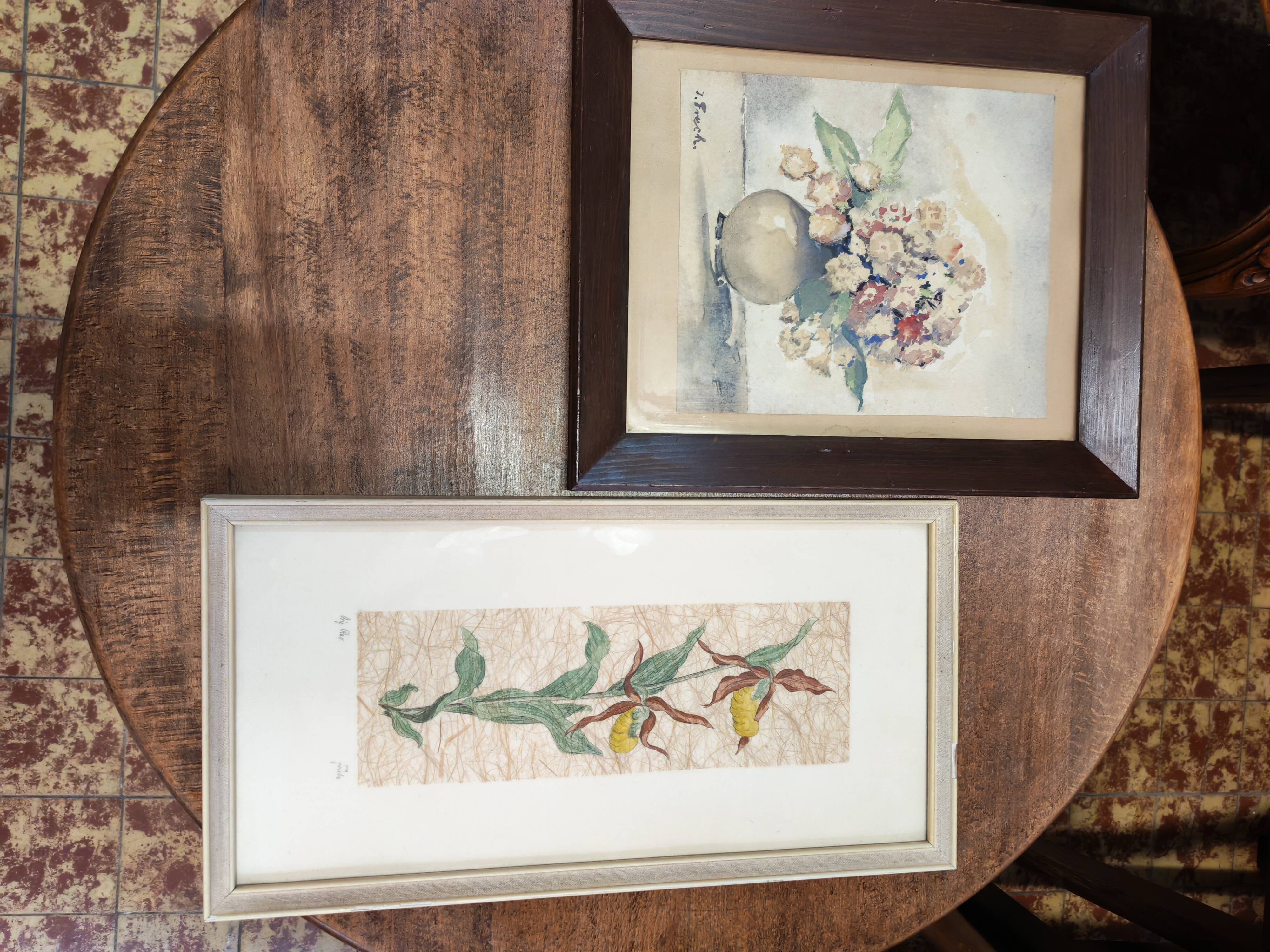 Set of two vintage flower illustrations