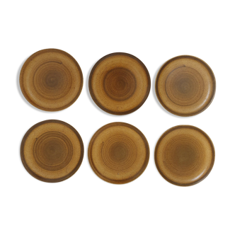 6 stoneware plates
