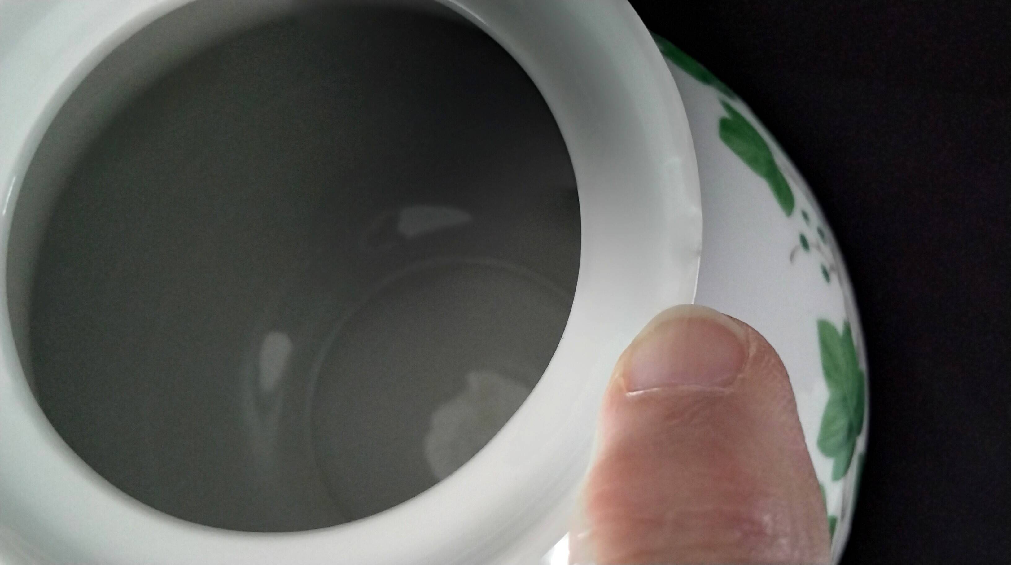 Porcelain tea service Sia Model "Evergreen"