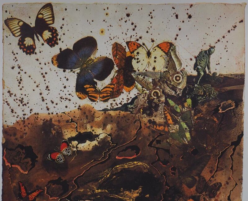 Salvador Dali: Auvergne, SNCF (Suite Papillon small model), signed original lithograph